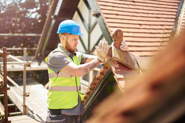Best Roof Gutter Cleaning  in Sauk City, WI